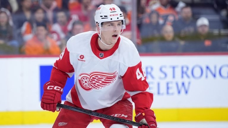 

'Penalty Issued to Jonatan Berggren of the Red Wings for Cross-Checking' | Picks n' Previews