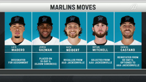 

Active Marlins Transfer 11 Players in Transactions